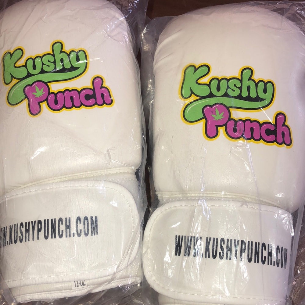 Kushy Punch Boxing Gloves